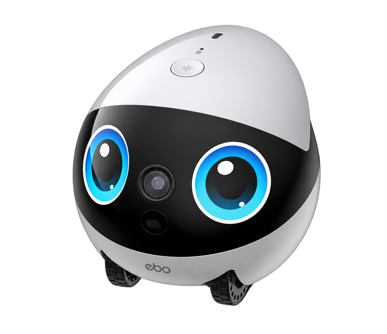 White and black Ebo companion robot with large blue eyes and a front camera